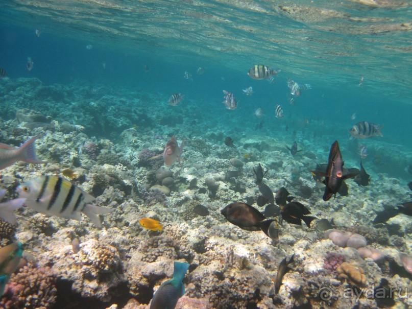 понравилось всё!!!