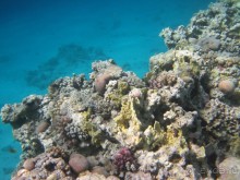 понравилось всё!!!