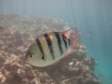 понравилось всё!!!