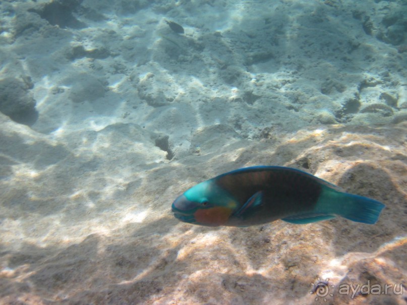 понравилось всё!!!