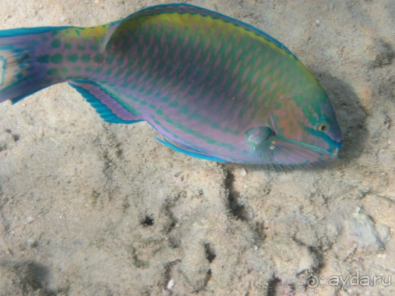 понравилось всё!!!