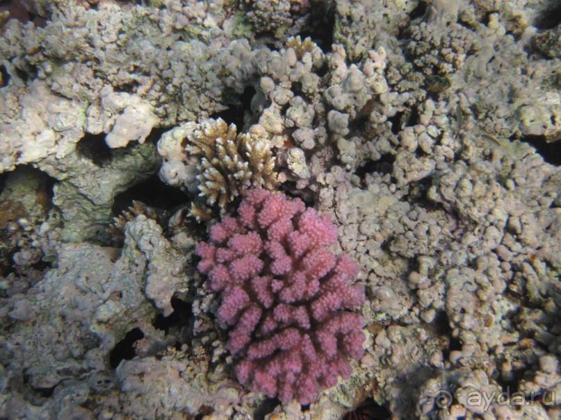 понравилось всё!!!