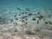 понравилось всё!!!