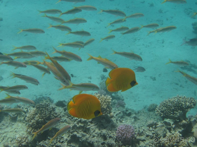 понравилось всё!!!