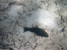 понравилось всё!!!