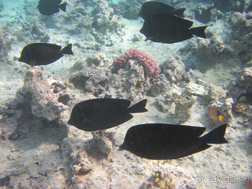 понравилось всё!!!