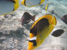 понравилось всё!!!