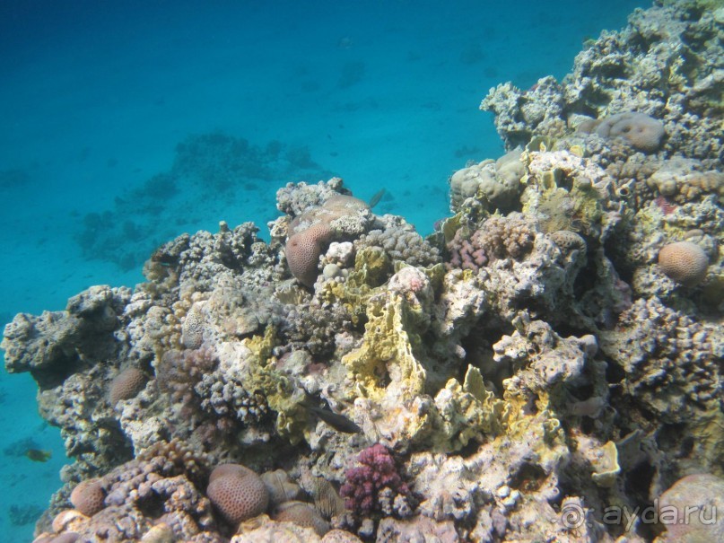 понравилось всё!!!