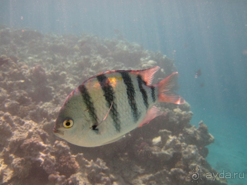 понравилось всё!!!