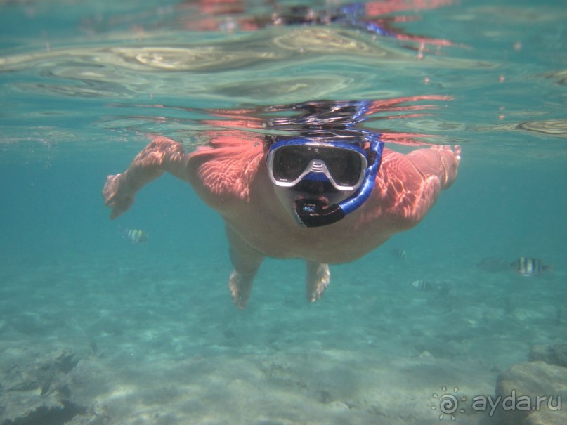 понравилось всё!!!