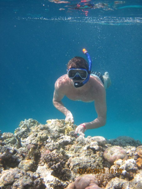 понравилось всё!!!