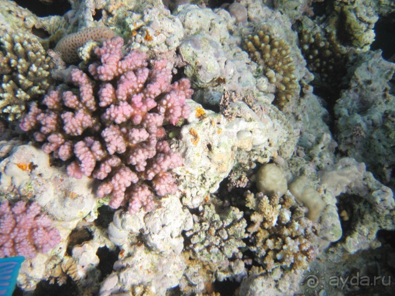 понравилось всё!!!