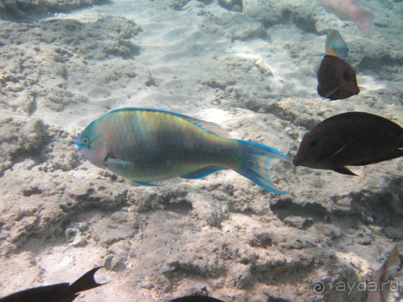 понравилось всё!!!