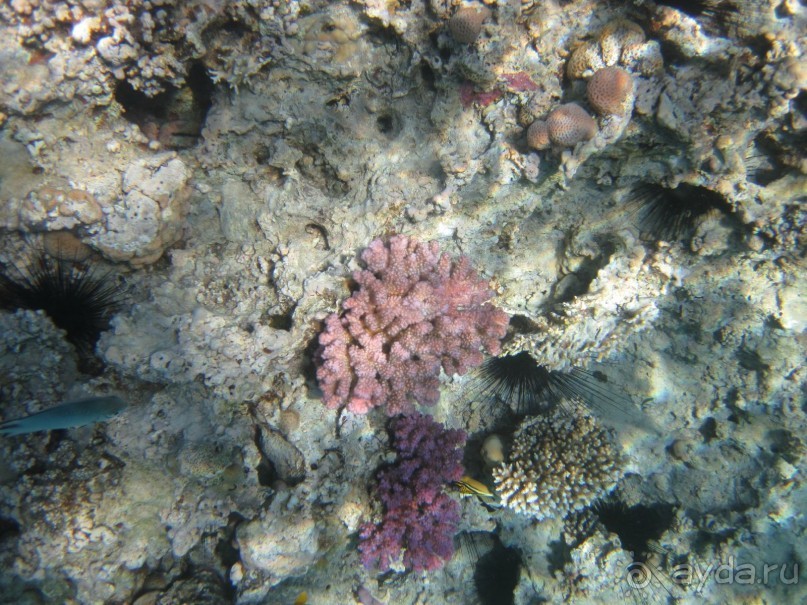 понравилось всё!!!