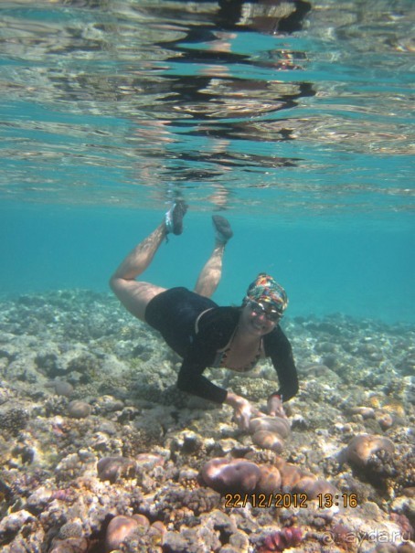 понравилось всё!!!