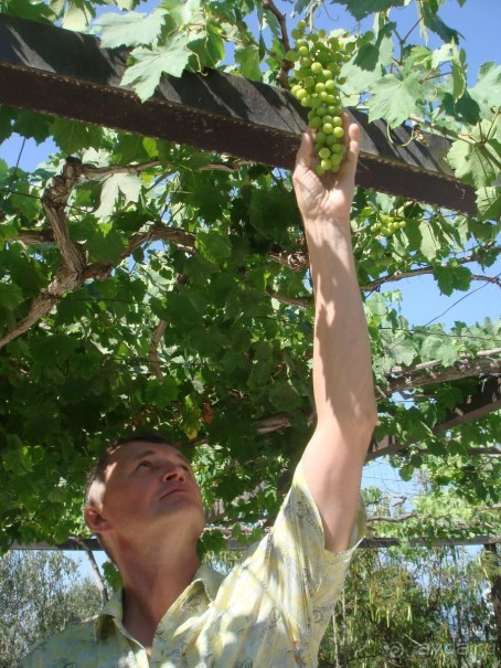 фото Bella Napa Bay