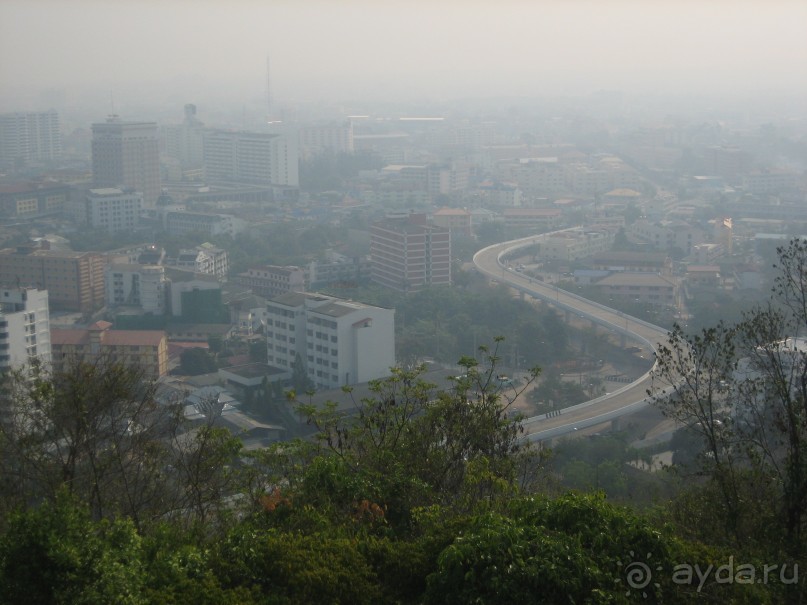 Royal Orchid- место для расслабления