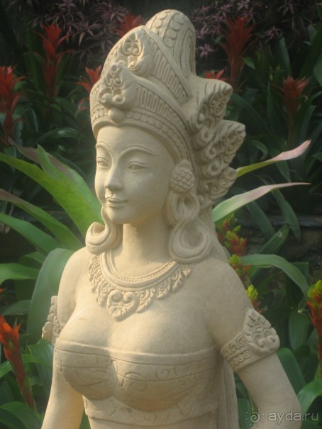 Royal Orchid- место для расслабления