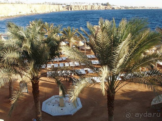 Территория отеля