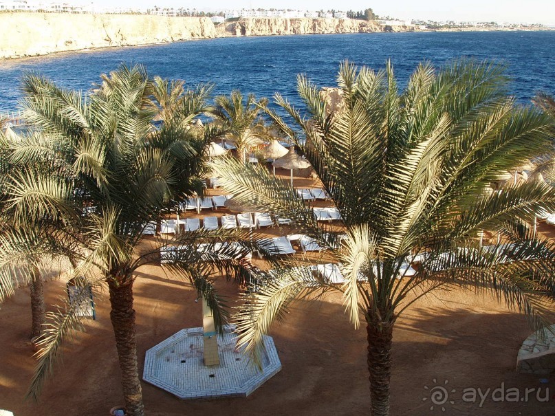 Территория Dreams Beach