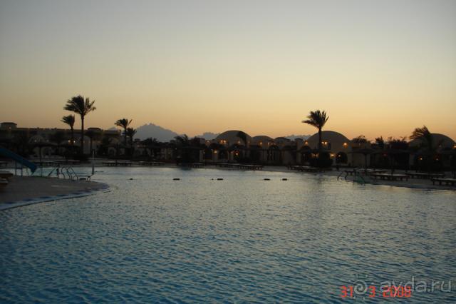 фото Desert Rose Resort