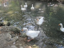 Родос с двумя детьми и неспокойными родителями)