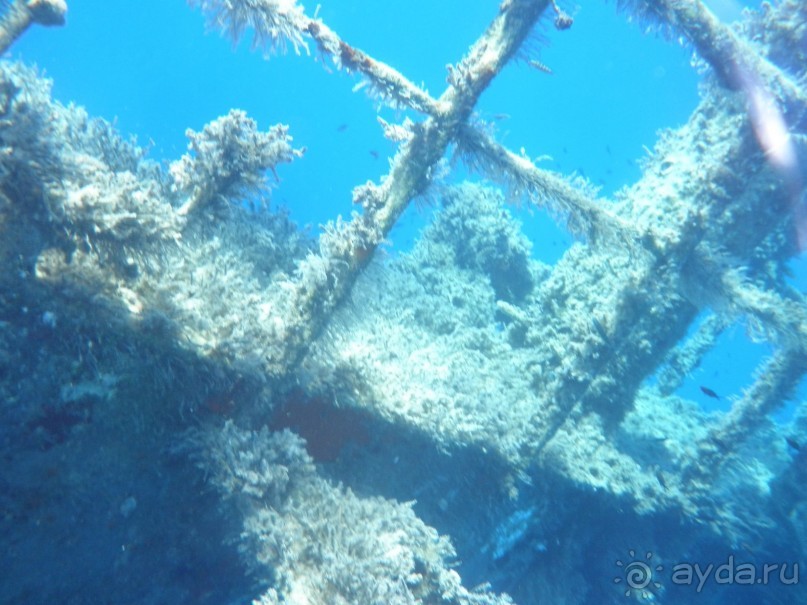 Родос с двумя детьми и неспокойными родителями)