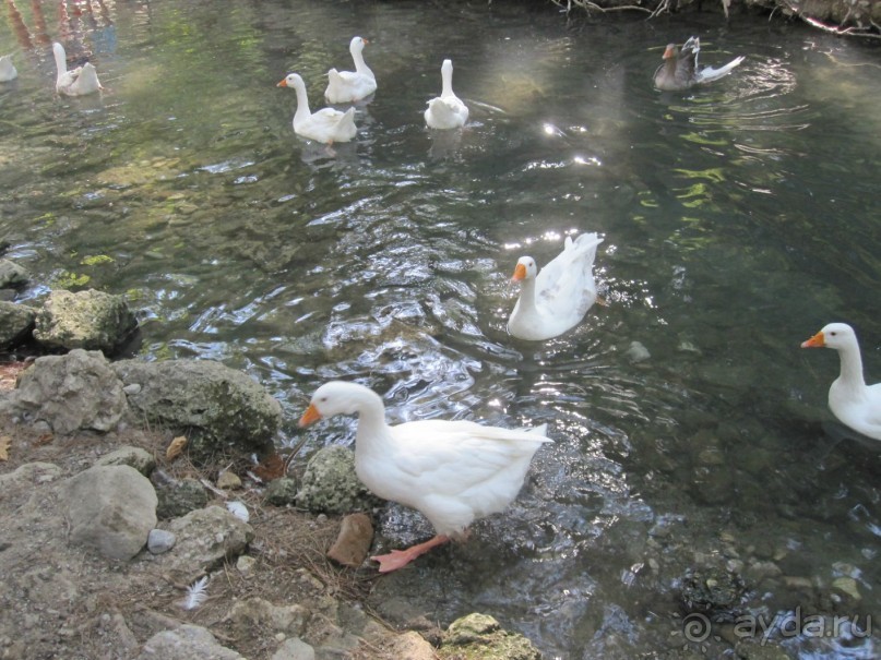 Родос с двумя детьми и неспокойными родителями)