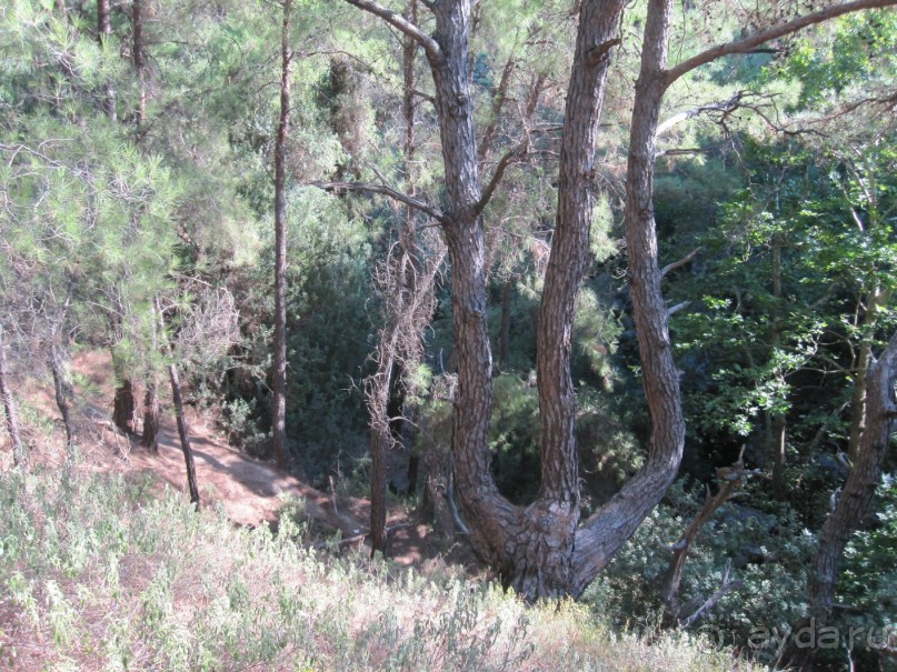 Родос с двумя детьми и неспокойными родителями)