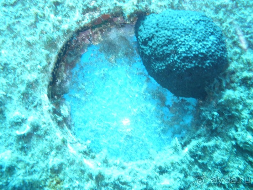 Родос с двумя детьми и неспокойными родителями)