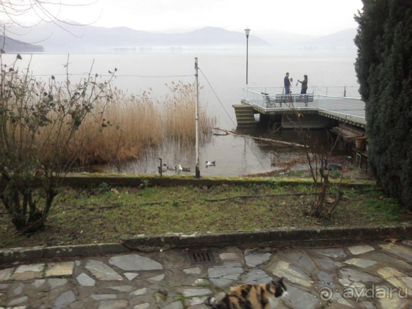 Неожиданно приятный отель