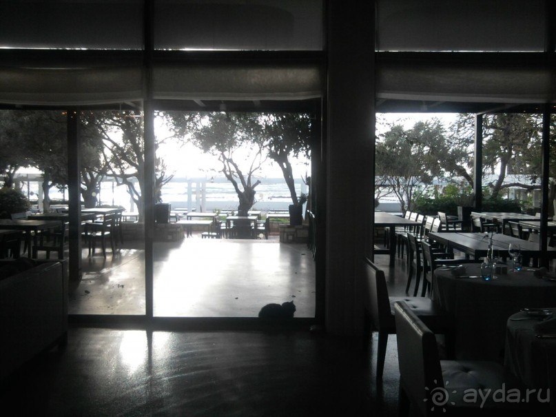 Отель для зимнего отдыха на Кипре