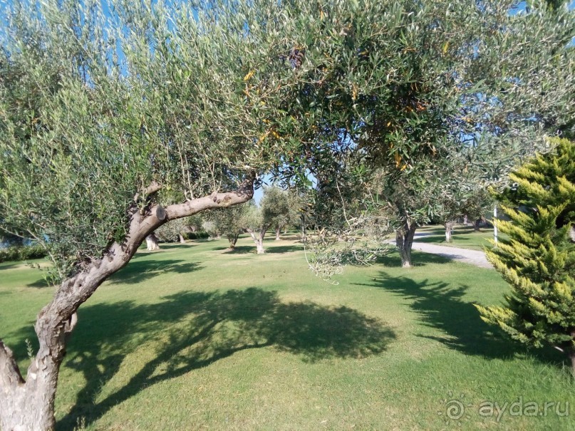 греческие просторы