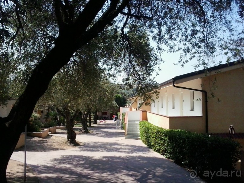 зеленый большой отель клубного типа