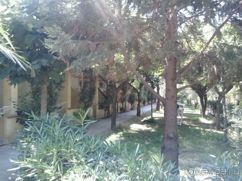 зеленый большой отель клубного типа