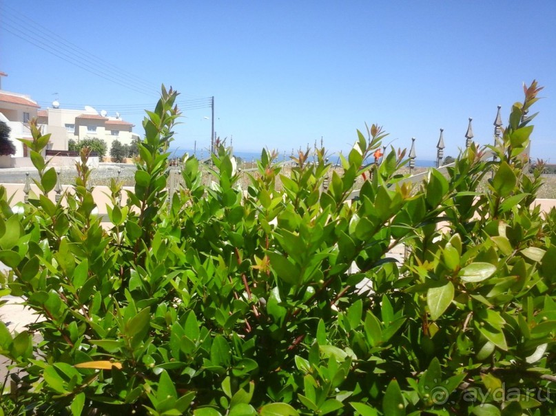 Кипрская "деревня"