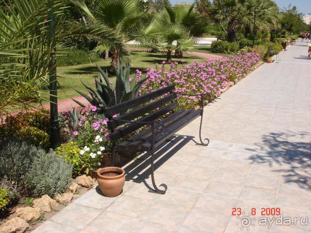 фото Gillieru Harbour