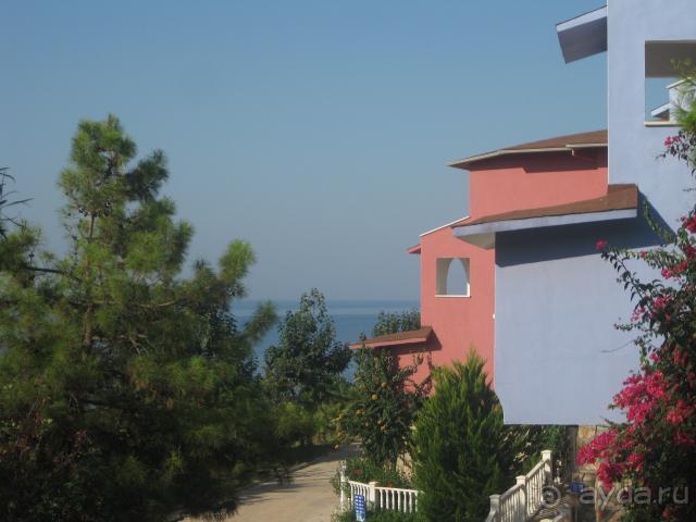 вид из номера