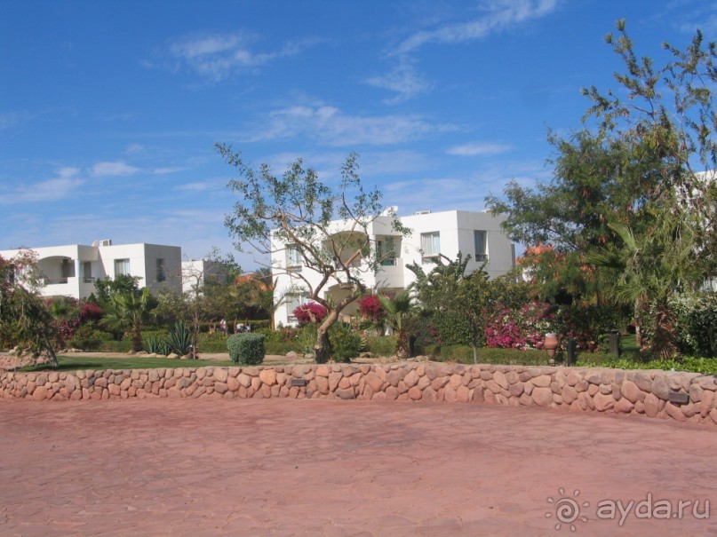 вернусь еще