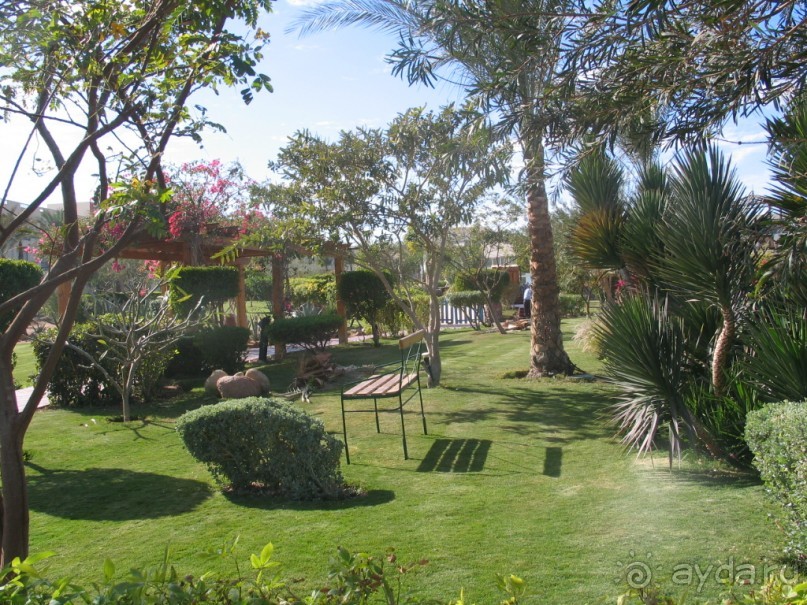 вернусь еще