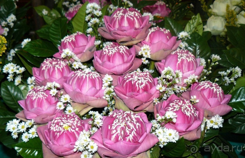 Бангкок . Рынок цветов