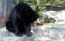 Зоопарк Дусит