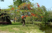 Бангкок. Старый город