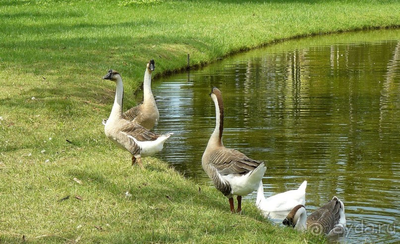 Бангкок. Старый город