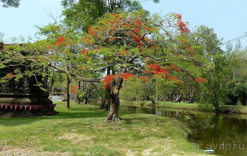 Бангкок. Старый город