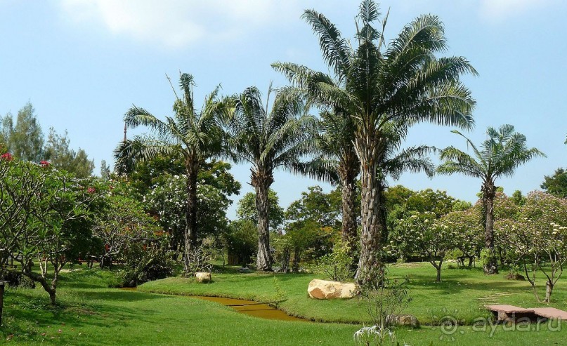 Бангкок. Старый город