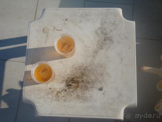 ЖУтко не понравилось .