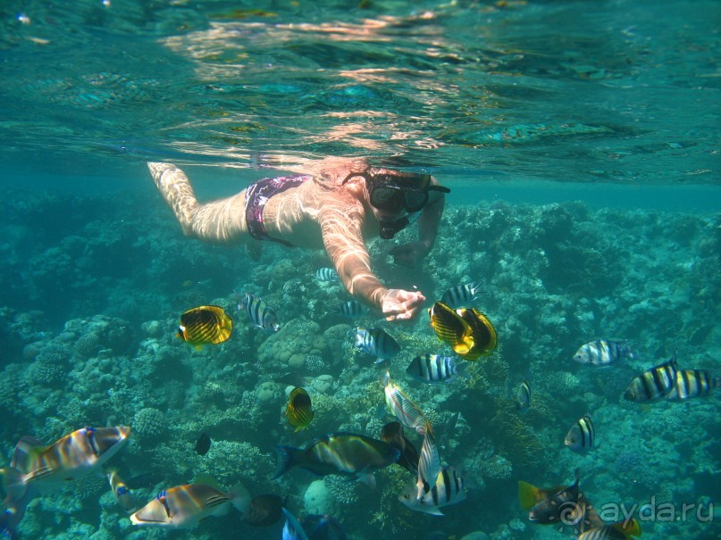 фото Gardenia Plaza Resort