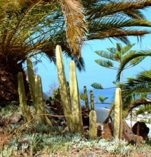 Волшебный дворец диснеевского Алладина.)))