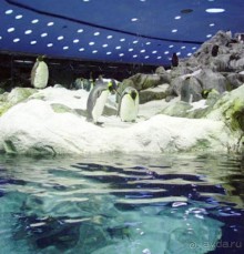 Волшебный дворец диснеевского Алладина.)))